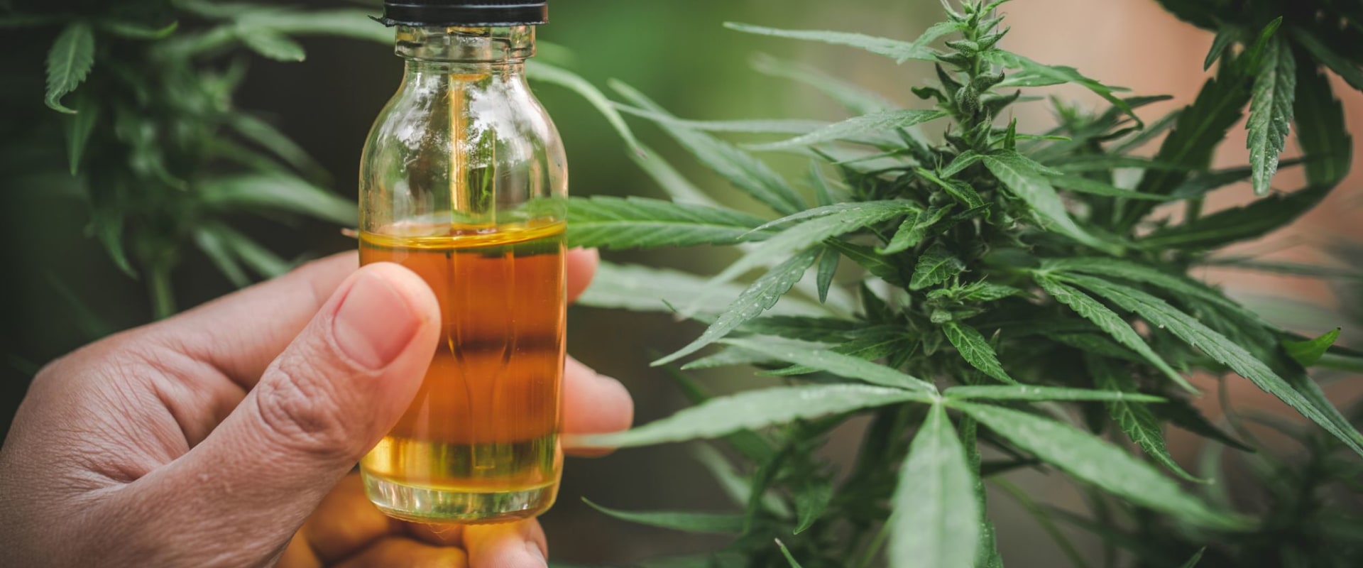 What is a CBD Store and What Does it Offer?