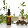 CBD Oil vs Essential Oils: What's the Difference?