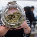 Are Children Allowed in Cannabis Stores in Ontario?